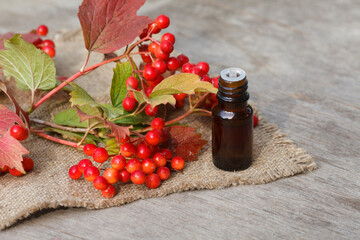 viburnum essential oil (extract, tincture) bottle with kalina seeds on canvas and wooden background