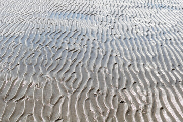 Beautiful sea sand background. Sand texture.
