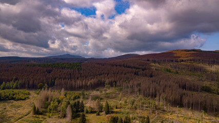 Harz - Wald - Klimawandel