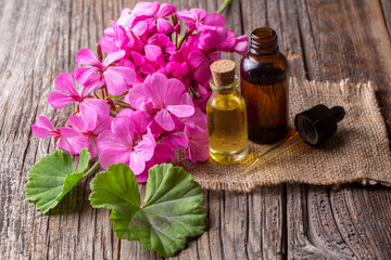 Geranium flower and geranium oil