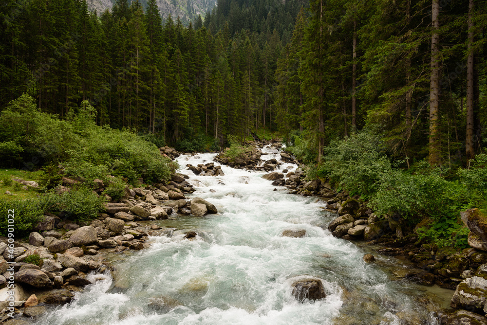 Wall mural krimml waterfalls in the high tauern national park, salzburg, austria