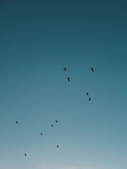 Obraz premium Travel Italy Mountain lake Braise Italian Alps reflection in autumn 