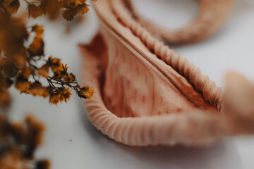 autumn leaves on a tree