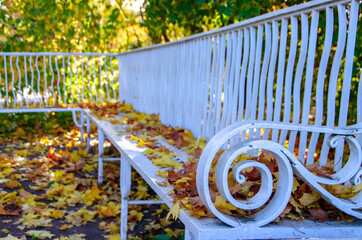 Alexander park in autumn, Pushkin (Tsarskoe Selo), St. Petersburg, Russia