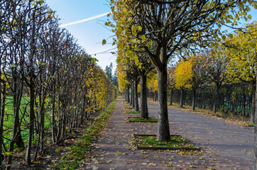 Catherine park in autumn, Tsarskoe Selo (Pushkin), St. Petersburg, Russia