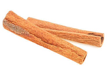 Front view of aromatic dried cinnamon sticks, white background. Cinnamon stick spice.