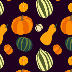 Seamless background with pumpkins. Different varieties of pumpkins on a dark background.
