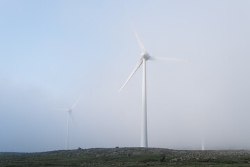 Wind farms in the fog
