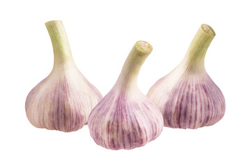 Obraz premium Garlics isolated on white background