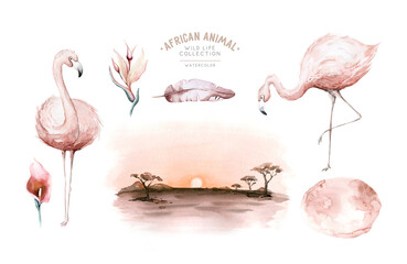 Hand drawn watercolor tropical flamingo birds. set of African flamingos. Exotic rose bird illustrations, jungle tree, brazil trendy art. Perfect for fabric design. © kris_art