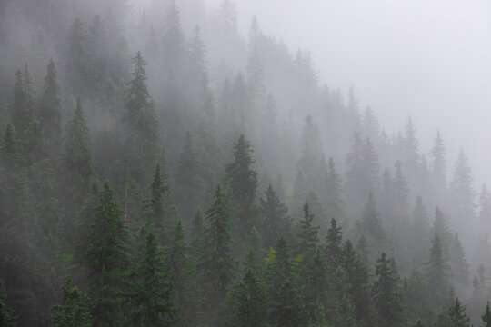 Fog clouds on a mountain slope © sebi_2569