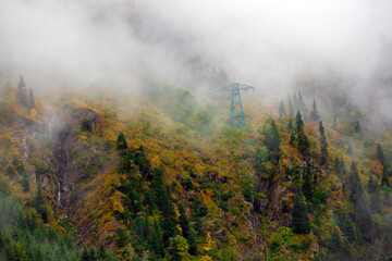 landscape with the silhouettes of trees on a mountainous slope in the fog
