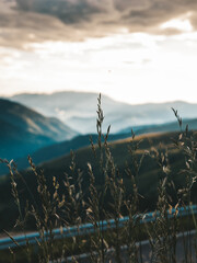 sunset over the field