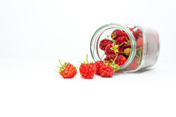 Freshly picked red raspberries on a white plate.