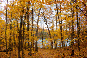 Gatineau Park, Quebec, Canada in Fall