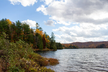 Obraz premium Gatineau Park, Quebec, Canada in Fall