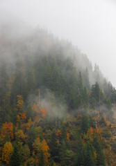 foggy landscape on a mountain slope