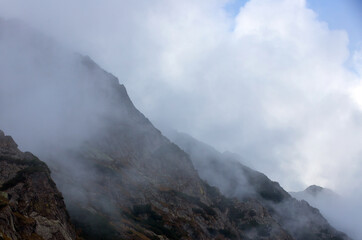 Fototapeta na wymiar a beautiful landscape with fog on the mountain slope
