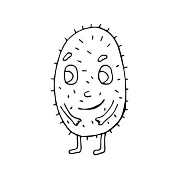 Funny Cartoon Kiwi Character. Vegetables And Fruits. Vector Illustration. Isolated. Doodles. Comics. Suitable For Landing Page, Banner, Flyer, Coloring Pages For Kids And Adults.