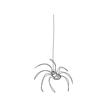 Small spider on a string of cobwebs one line art. Continuous line drawing of halloween theme, gothic, horrible, scary, black widow, karakurt, tarantula.