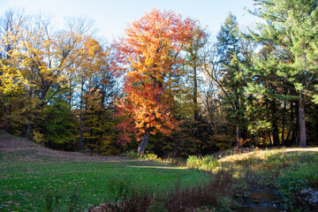 Obraz premium Montebello, Quebec, Canada in Fall