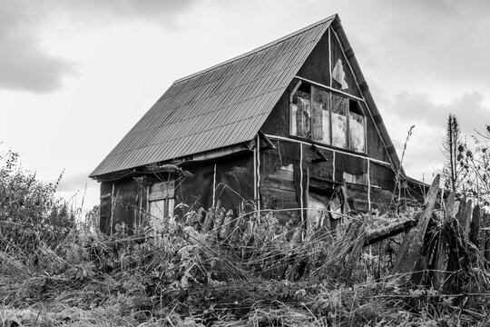 Black and white atmospheric autumn photography of an old abandoned wooden village house behind a broken fence overgrown with wild grass