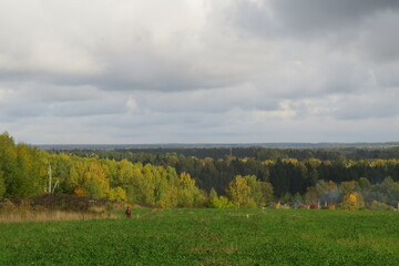 Autumn landscape with forest