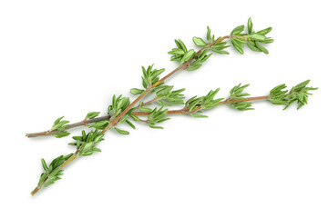 fresh thyme isolated on a white background with clipping path and full depth of field, Top view. Flat lay