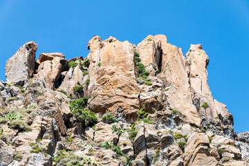 Lipari (Aeolian archipelago), Messina, Sicily, Italy: view of the island of Basiluzzo with vegetation of dwarf palms from Madagascar.
