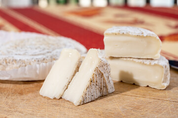 Taste of Provence, small round cheese Tome de Provence made from goat milk in Banon,...