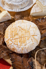 Taste of Provence, ancient small goat cheese Banon a la feuille wrapped in chestnut leaves and tied with raffia.