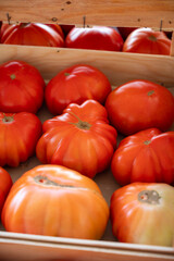 Tasty big ripe french tomatoes in wooden boxes on farmers market in Provence