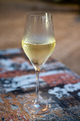 One flute glass of cold sparkling wine champagne brut