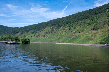 View on Mosel river, hills with vineyards, Germany, Germany