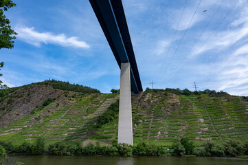 View on hills with terraced vineyards along bank of Mosel river and high Mosel bridge near   Cochem, Germany
