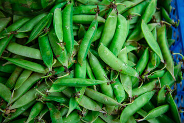 Fresh green peas. Ingredient for a vegetable diet.