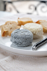 Cheese collection, french goat cheese crottin served with french bread