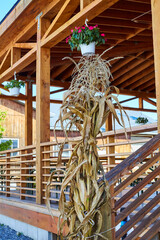 corn on an elegant wood barn railing