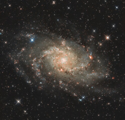 Galassia del Triangolo M33
