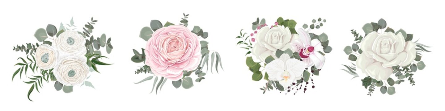 Vector flower set. White and pink roses, orchids, ranunculus, green plants and leaves, eucalyptus. Flowers and plants on a white background