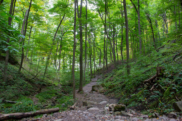 Fototapeta premium Niagara Glen, Ontario, Canada