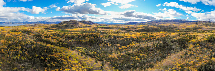 Panoramic aerial view of road leading to Haines Junction in northern Canada during autumn, fall season with golden, gold, yellow landscape surrounding wilderness. 