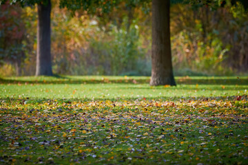 Obraz premium Park in Furth Germany during autumn season.