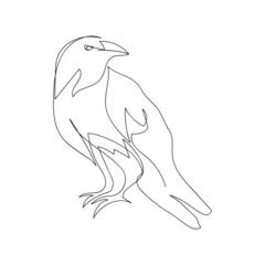 Rook, raven one line art. Continuous line drawing of halloween theme, gothic, ornithology, scary, bird.