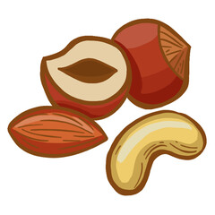Fototapeta na wymiar Modern icon nuts hazelnut symbol. White background. High quality illustration