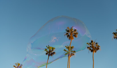 beautiful soap bubble blower fly among palm trees in summer sky, soap bubble