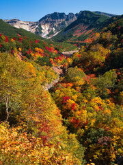 十勝岳温泉の紅葉