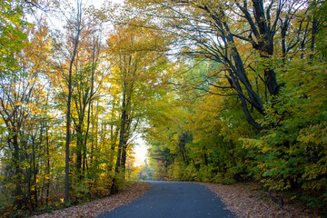 Obraz premium Parc National de Plaisance, QC, Canada