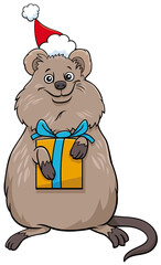 cartoon quokka animal character with gift on Christmas time