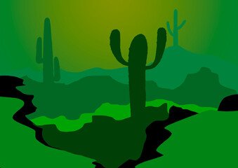 cactus in the desert